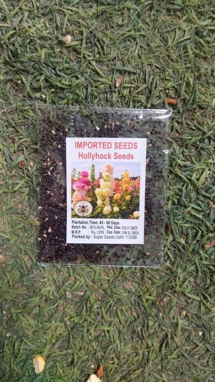Imported Hollyhock Seeds (Pack of 2)